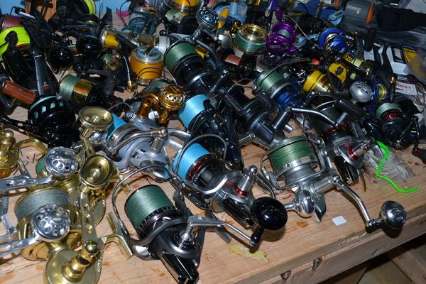 Diverse - 600x400px-ll-bb48f26cdsc0012.jpeg